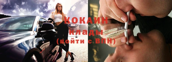 ПСИЛОЦИБИНОВЫЕ ГРИБЫ Арсеньев