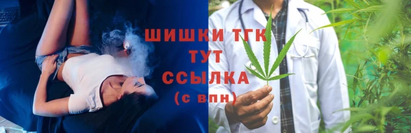 ПСИЛОЦИБИНОВЫЕ ГРИБЫ Арсеньев