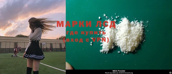 ПСИЛОЦИБИНОВЫЕ ГРИБЫ Арсеньев