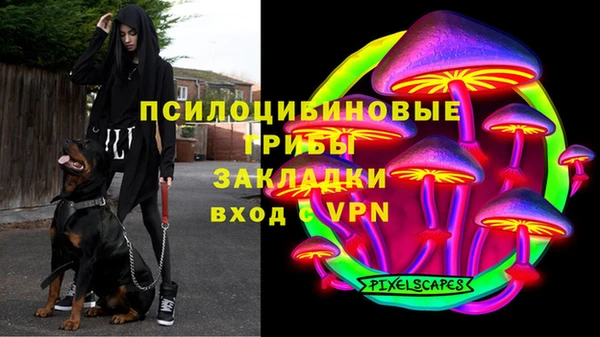 ПСИЛОЦИБИНОВЫЕ ГРИБЫ Арсеньев